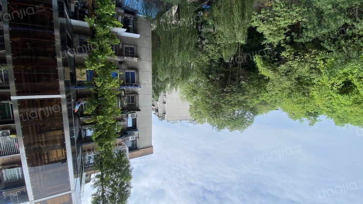 川大竹林村外景图