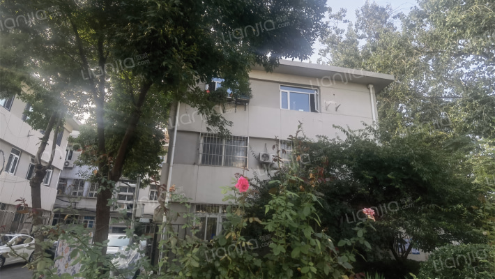 马场道56号外景图