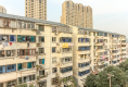 张家浜15