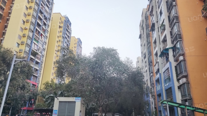 金沙洲新社区一区外景图