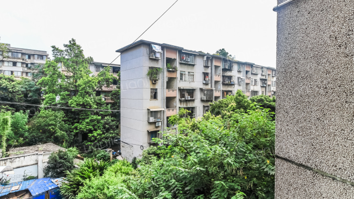 翠竹路四号小区外景图