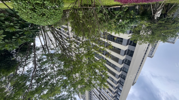 大华锦绣海岸五期外景图