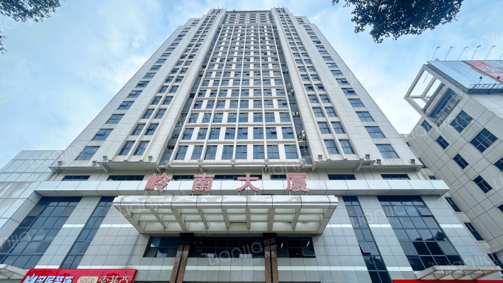 岭南大厦外景图