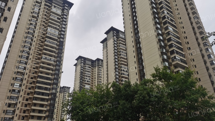 联发·西棠春晓外景图