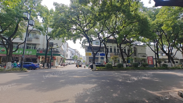东大街散盘外景图