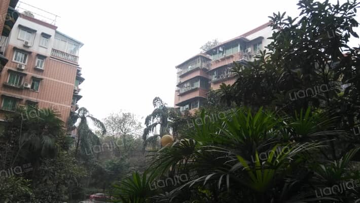 大川家园外景图