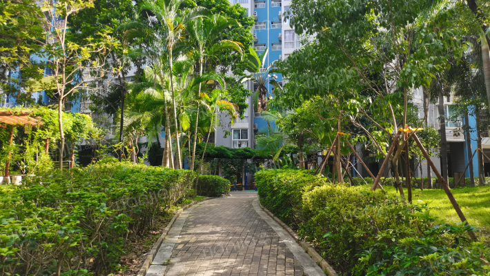 香格里拉花园外景图