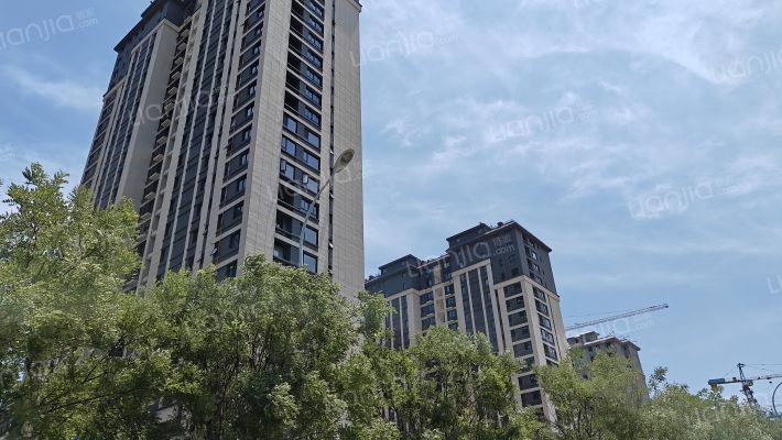 金为翠微名府外景图