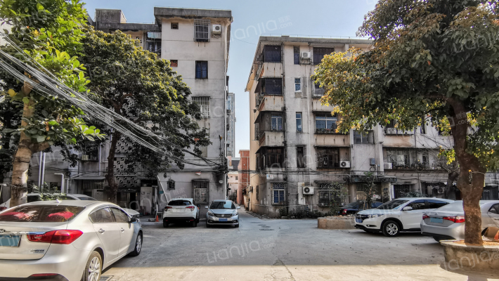 侨岭街二巷21号外景图