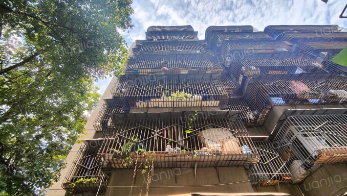 华油路新19号外景图