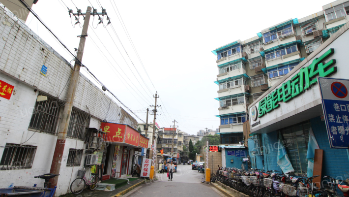 东井村3号外景图