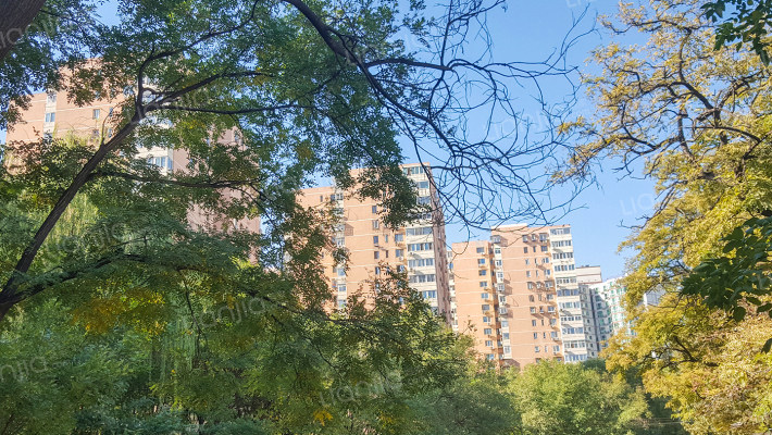 北洼东里外景图