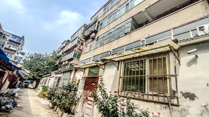 泺口南村十三区382外景图