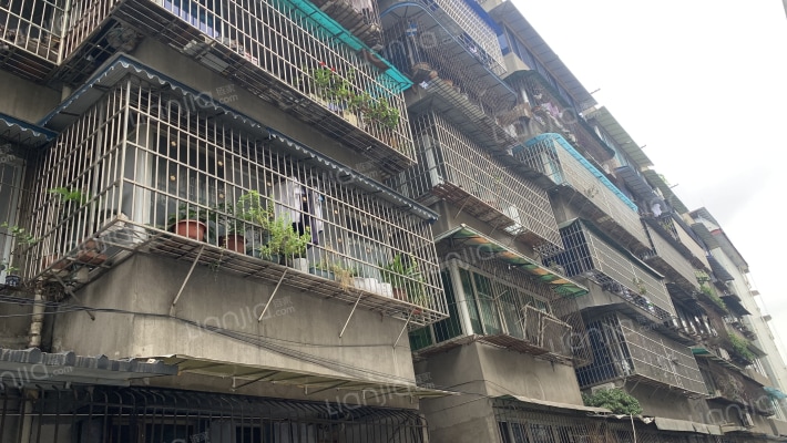 钟楼路41号外景图