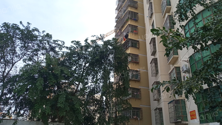 博兴雅居外景图