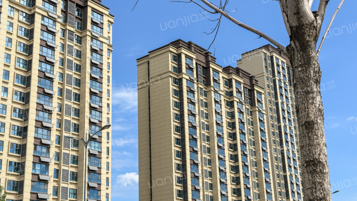 盛世天城雅园外景图