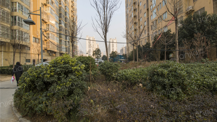 盛世之都外景图