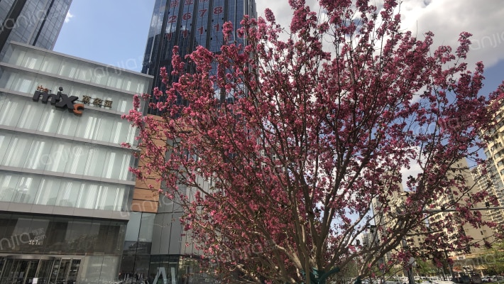 华润置地万象云玺外景图