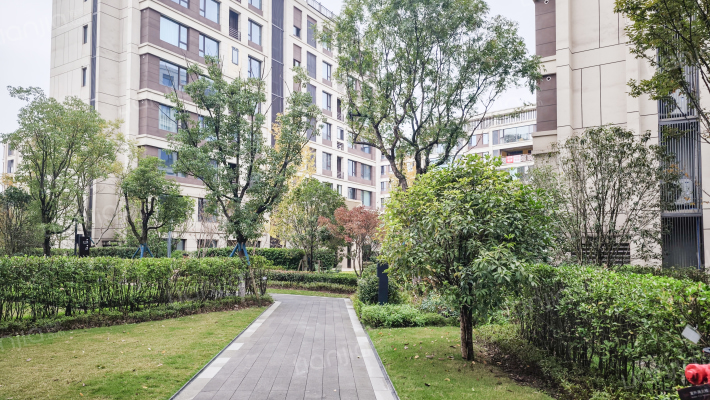 玖著天宸启宸外景图