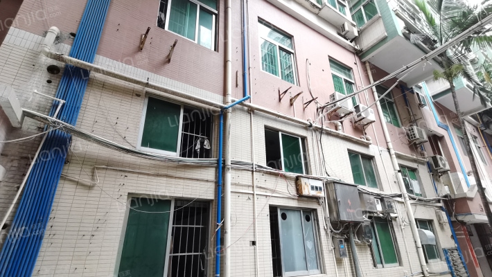 麦兴新苑外景图