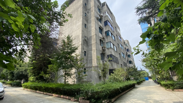 北新路289号外景图