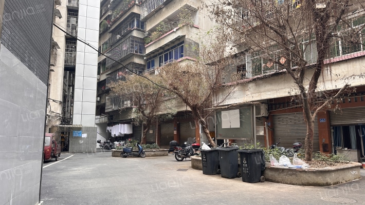 黄金花园外景图