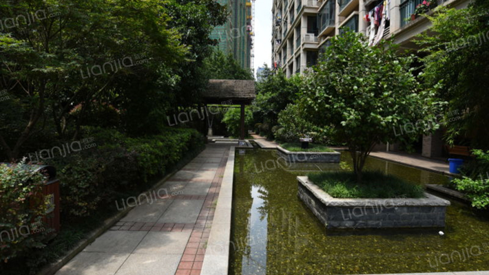 中江国际花城外景图