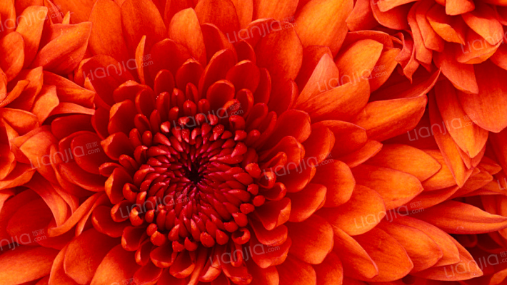 测试新房恒大书院外景图