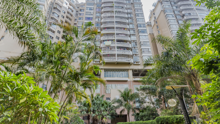 西湖丽苑外景图