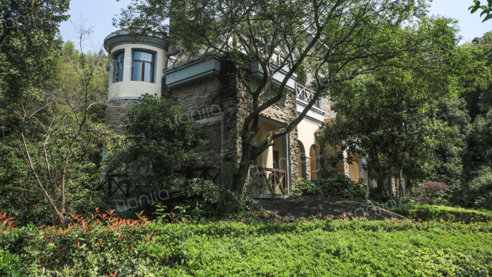 湾里区恒茂森林海外景图