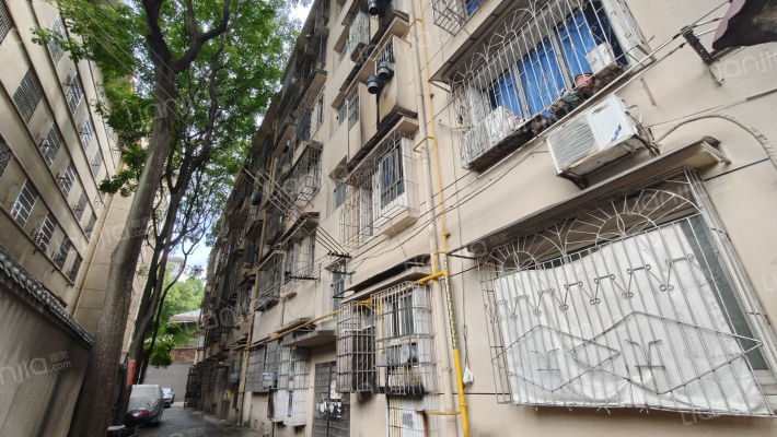 八一路241号外景图