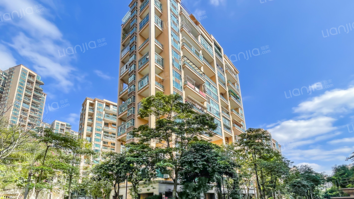 公园大地八期外景图