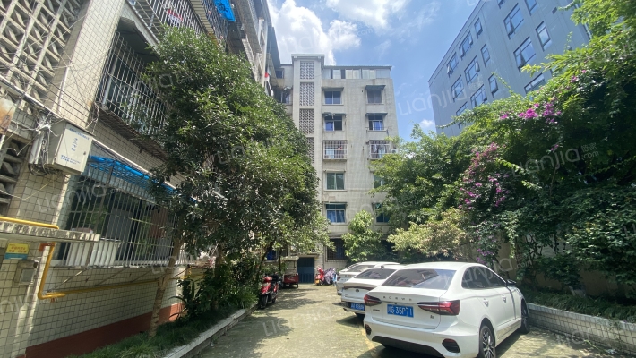 外南街一巷7号外景图