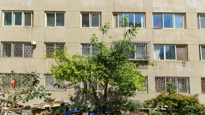 公路段家属院蓝楼（左家湾）外景图