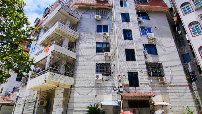 虹桥镇粮食市场商品房外景图