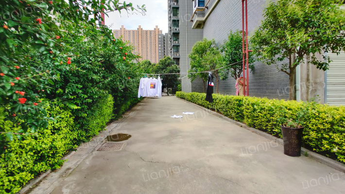 大唐星河苑外景图