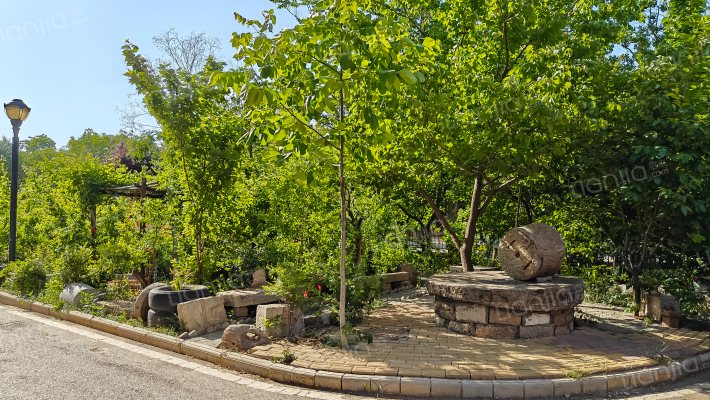 泉城花都C区外景图