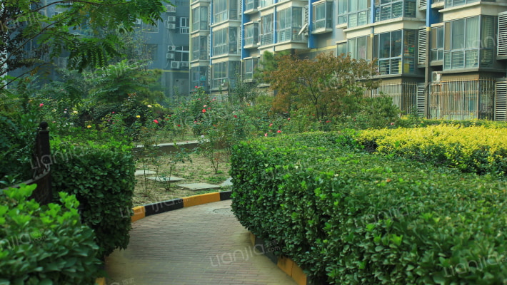 新华南路外景图