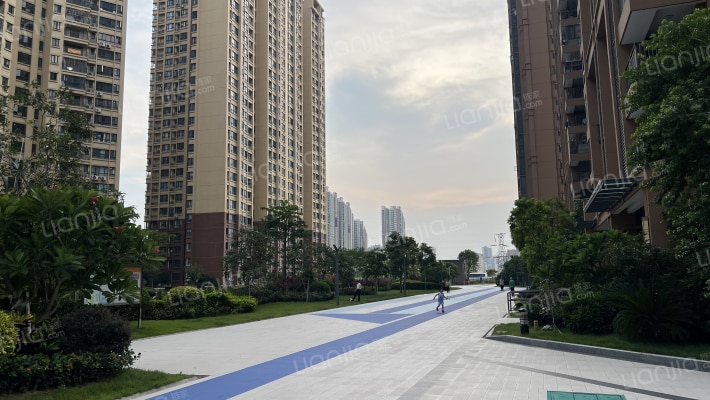 盛世年华外景图