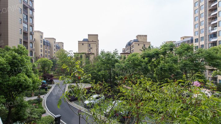 天熙楚世家外景图