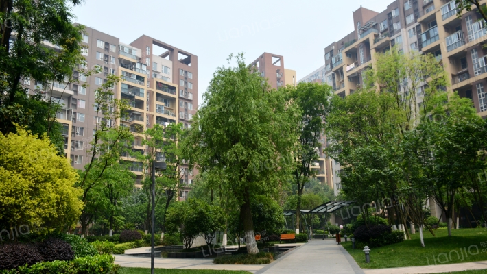 万科魅力之城四期外景图