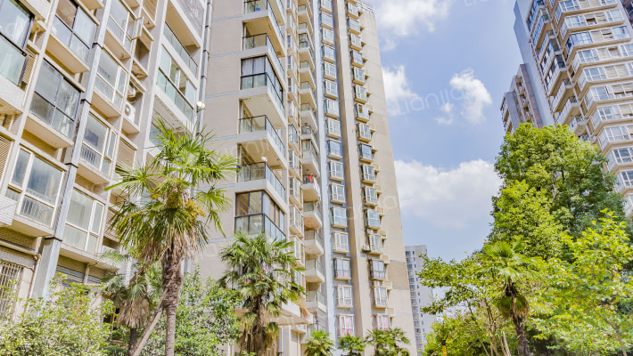 佳阳国际外景图