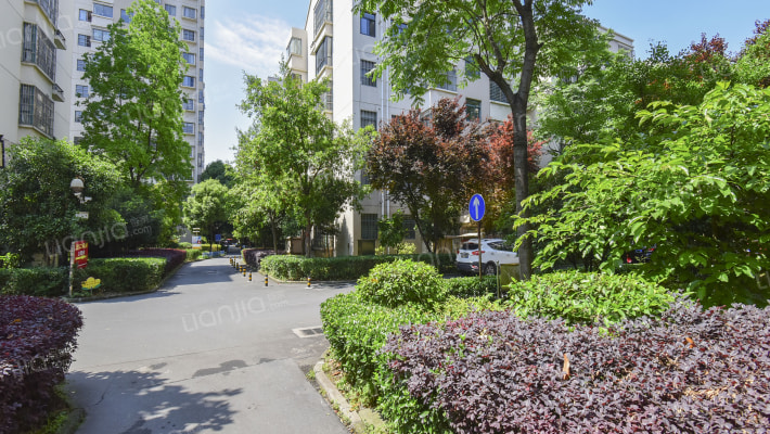 黄山花园外景图