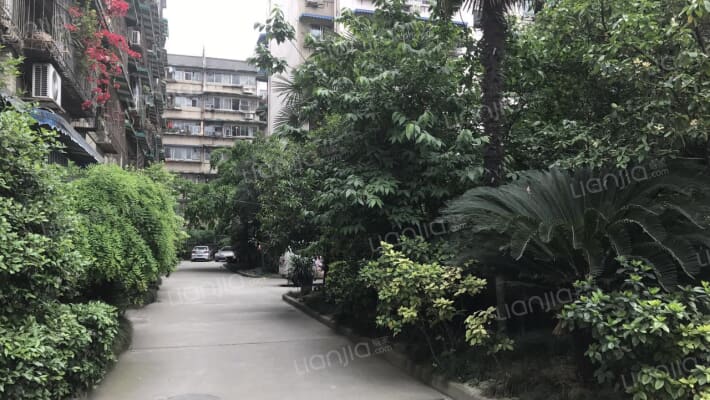 肖家河东三巷1号外景图