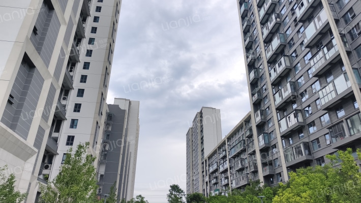 浅隐林泉外景图