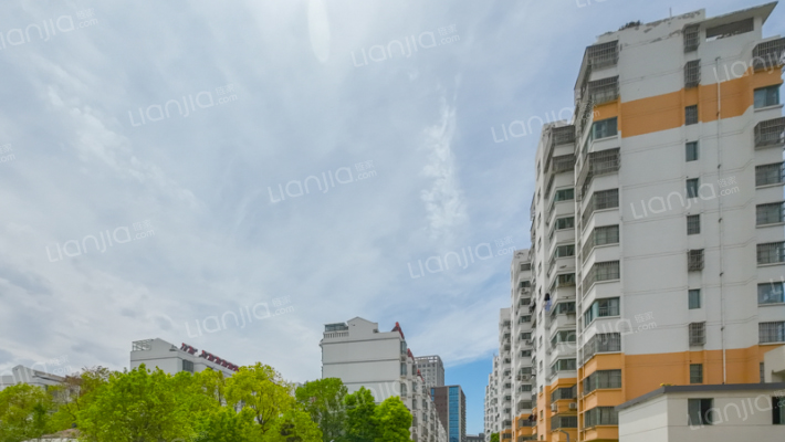 紫金花苑外景图