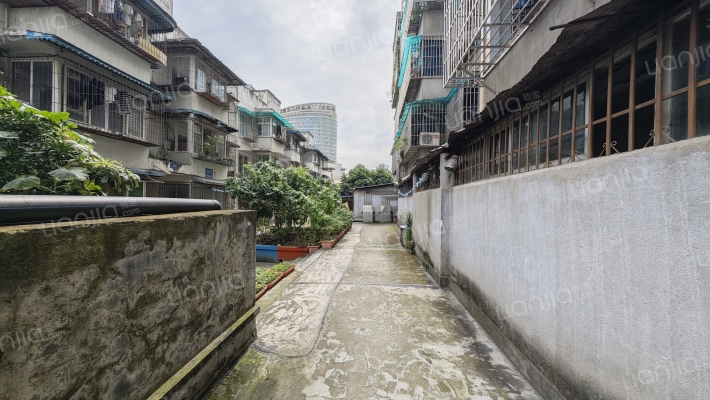 王家二巷18号外景图