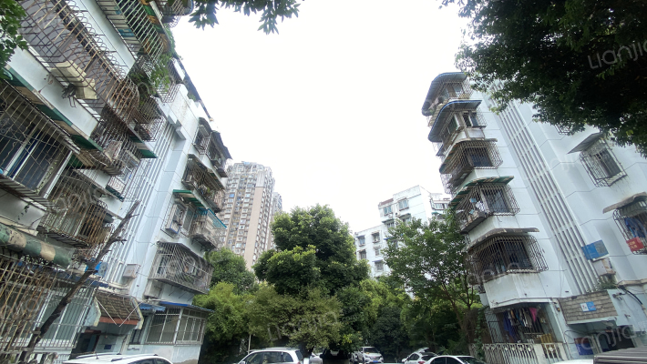 棕竹街5号外景图