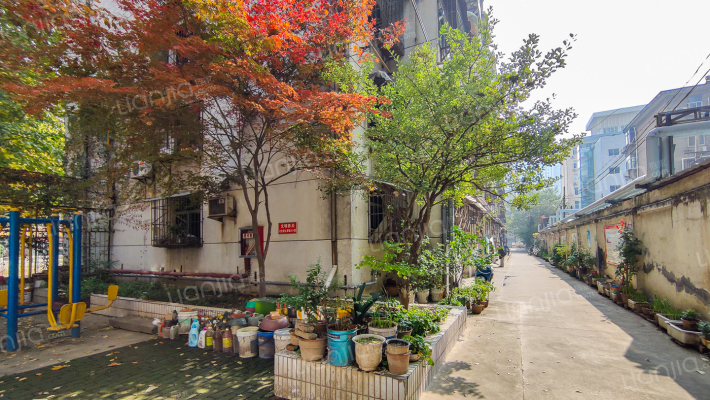 经贸家属院外景图