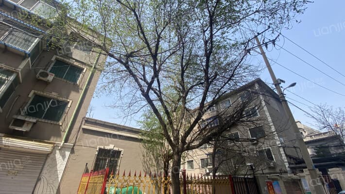 银杏家园外景图